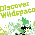 Discover Wildspace