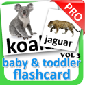 Brightkids Animal Flash Card 3