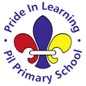 Pîl Primary School