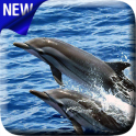 Golfinhos Fundo interativo
