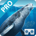 Sea World VR2(Pro)