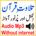 Audio Mp3 Shurem Quran Tilawat