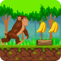 Jungle Monkey Adventures