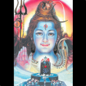 Beginners Shiva Puja