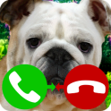 fake call dog game