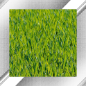 Grass Photo Frames