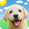 Weather Puppy - App & Widget Weather Forecast