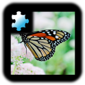직소 퍼즐: 나비 퍼즐 맞추기