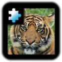 직소 퍼즐: 호랑이 퍼즐 맞추기