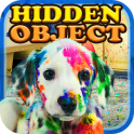 Hidden Object