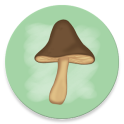 Мир грибов. Справочник