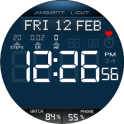 Ambient Light Watch Face Full