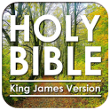 Santa Biblia: Versión Reina Va