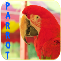 Parrot Ringtones