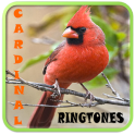 Cardinal Ringtones