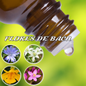 Flores de Bach - Grátis