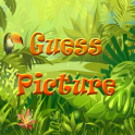 Guess Picture