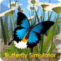 Butterfly Simulator