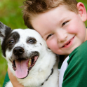 Boy With Dog Wallpapers Theme