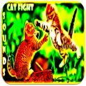 Sons de combat de chat
