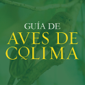 Guía Aves de Colima