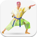 Karate Guide