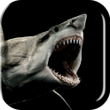 Shark 3D Live Wallpaper