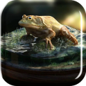Frog Amazing Graphics LiveWP