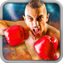 Play Boxing Games 2016