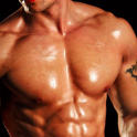 Muscle man Mr.bodybuilding B