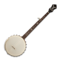 Banjo Tuner Simple