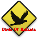 Kolkata Birds