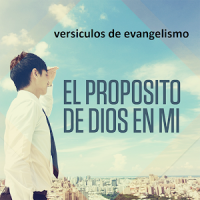 Versículos Biblicos