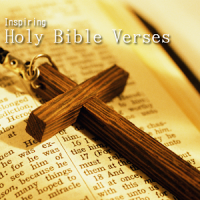 Holy Bible Verses Box
