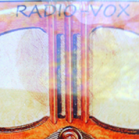 Viper Paranormal's Radio-Vox