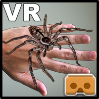 VR