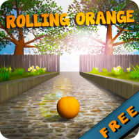 Rolling Orange FREE