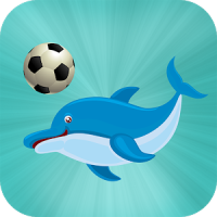 Dolphin Fútbol Mostrar