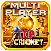 Top Cricket MultiPlayer