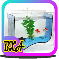 Fish Aquarium Design Ideas