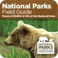 National Parks Wildlife Guide