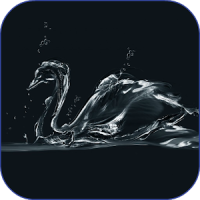 Cisne negro HD Live Wallpaper