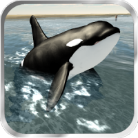 Orca Whale Simulator 3D