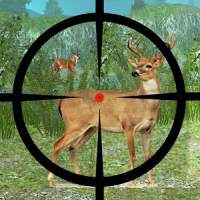 Forest Deer Hunting