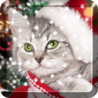 Рождество Cat Live Wallpaper