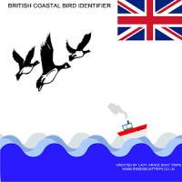 British Coastal Bird ID