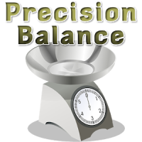 Precision digital scale