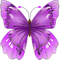 Flowers Butterfly Doodle Text!