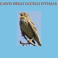 Canti degli Uccelli d'Italia