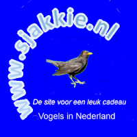 Vogels in Nederland